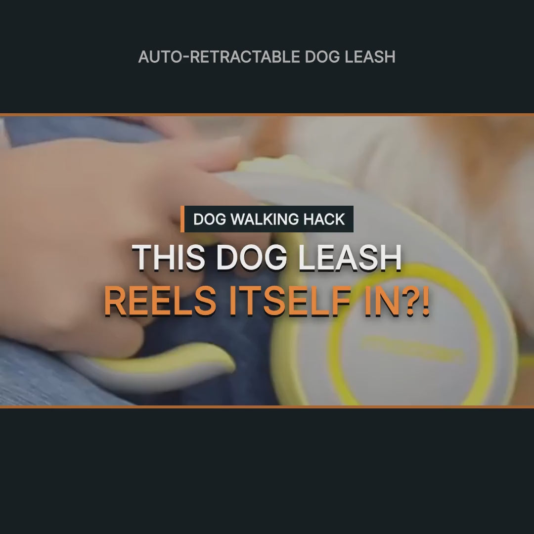 Heavy Duty Retractable Dog Leash, Reflective 360° Tangle-Free, 3m/5m | Traverseon